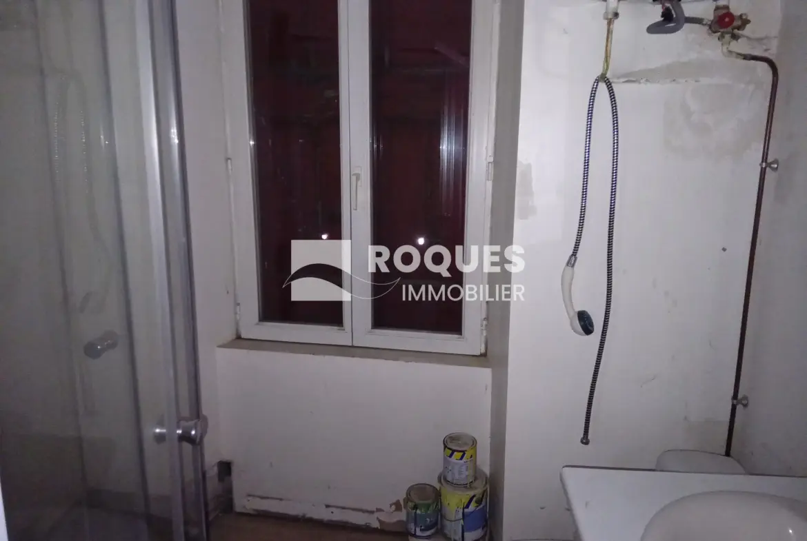 Appartement spacieux et lumineux au cœur de Millau 