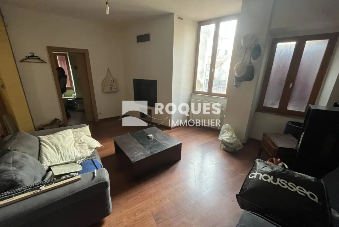 Appartement spacieux et lumineux au cœur de Millau 
