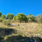 Terrain Constructible 2000 m2 à Caussols avec Vue Dominante