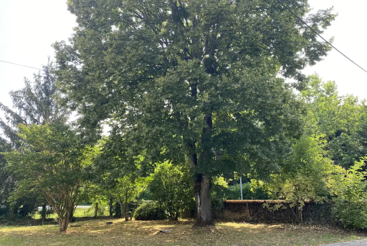 Maison en pierre au calme près de Bazas 