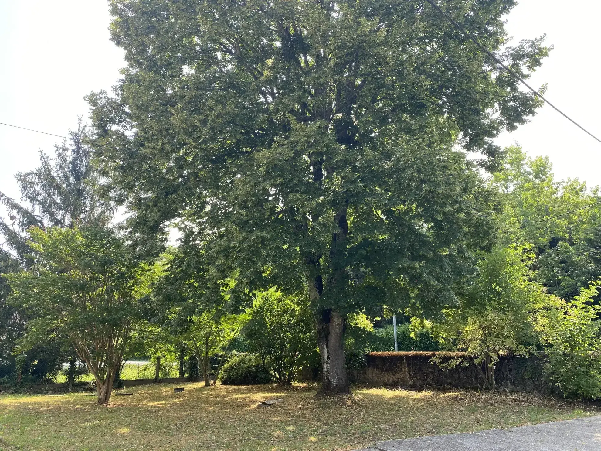 Maison en pierre au calme près de Bazas 