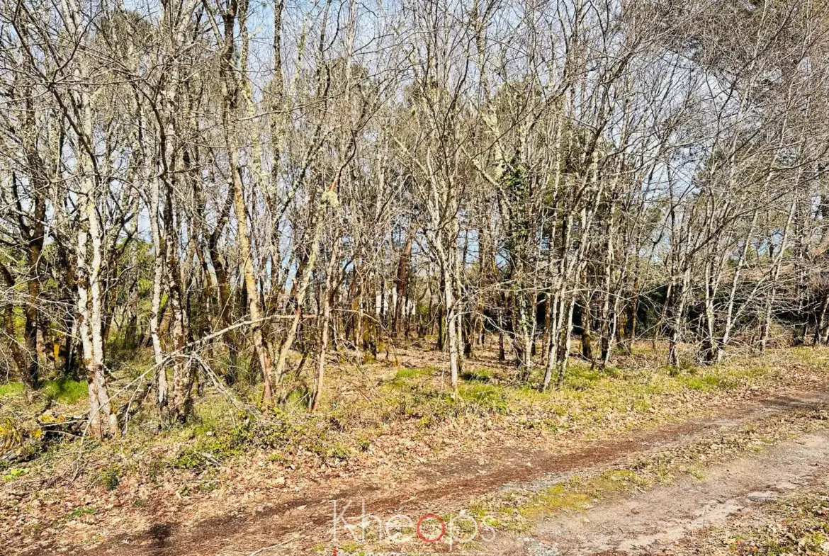 Terrain à bâtir de 585 m² en Sud Gironde - Balizac 