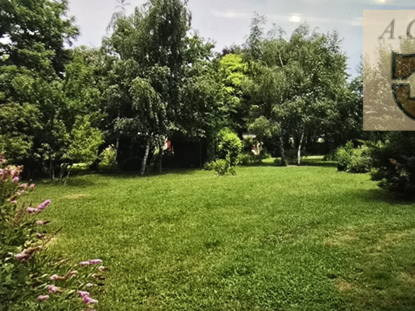 Maison isolée en campagne proche Oucques à vendre 