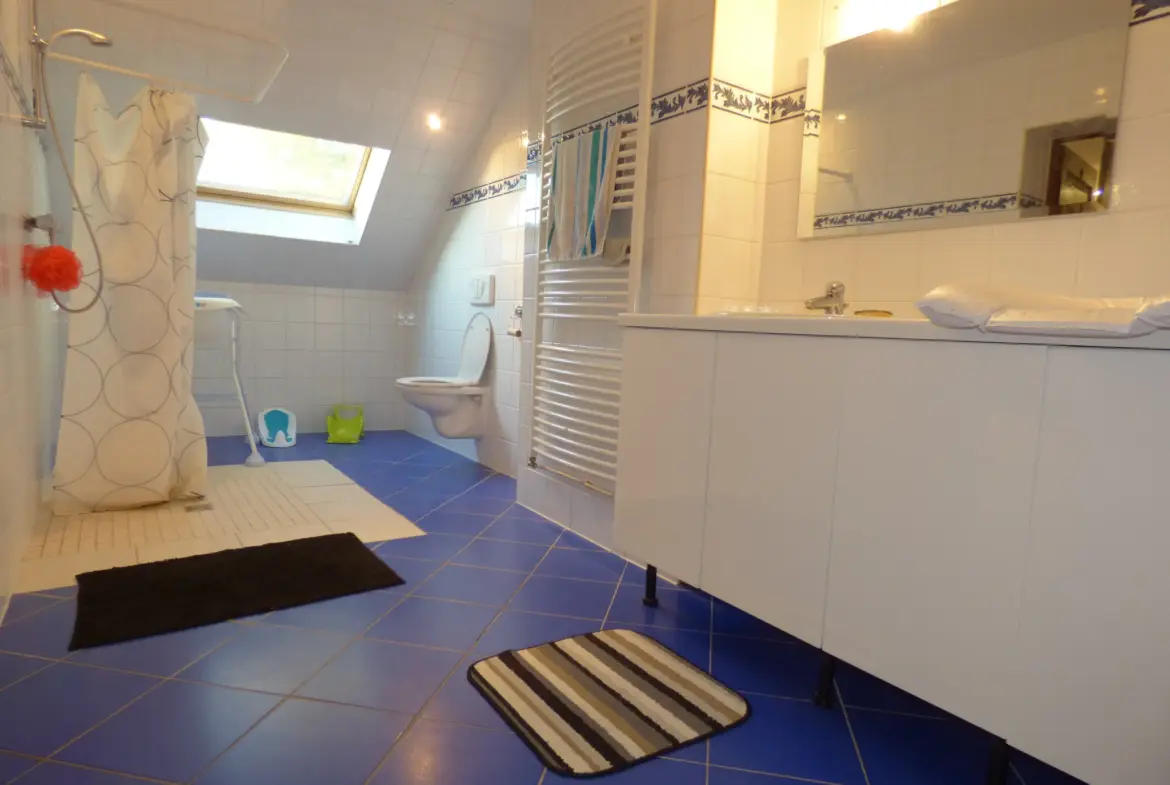 À vendre : Maison ancienne rénovée de 207 m² à Noyant 