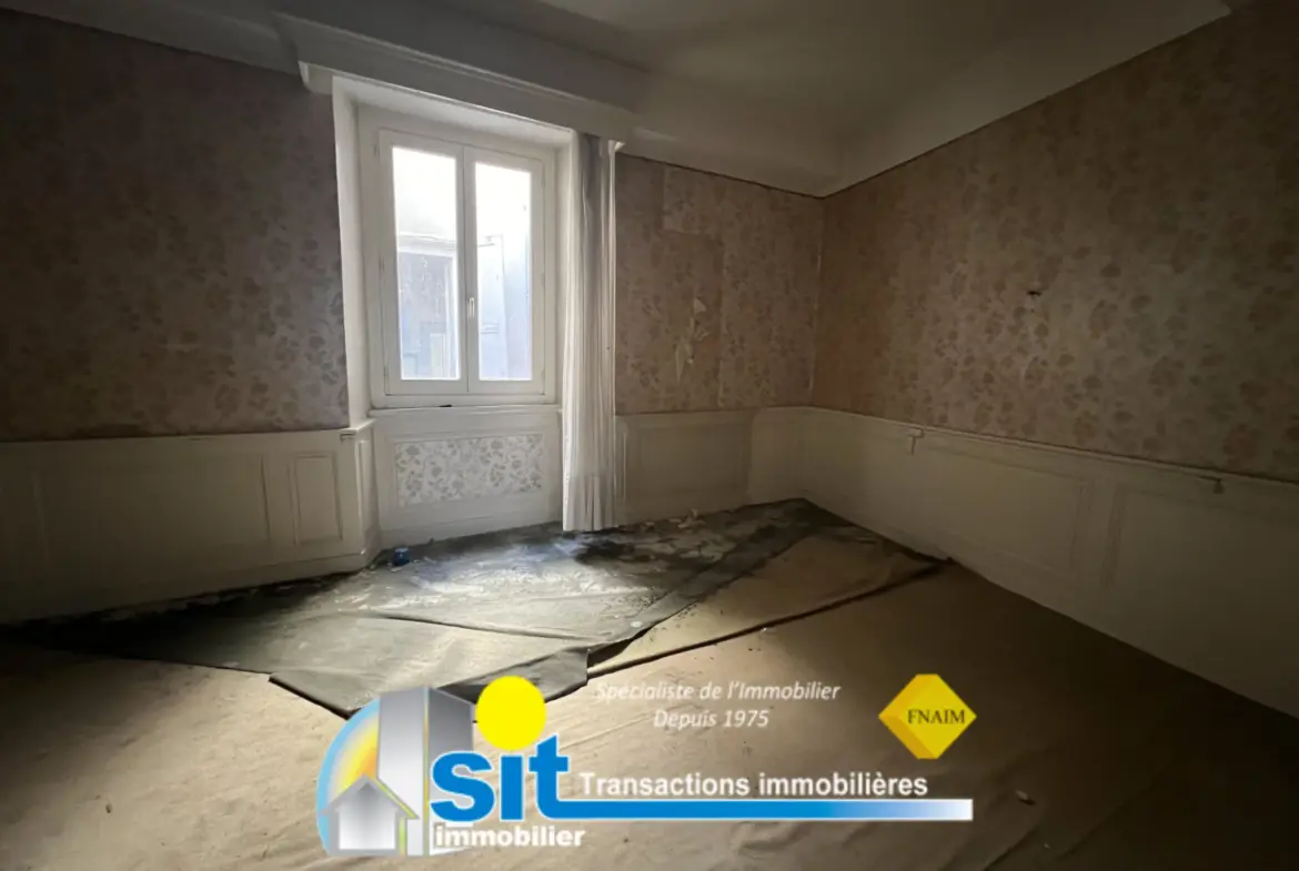Grand appartement divisible à rénover à Vienne 