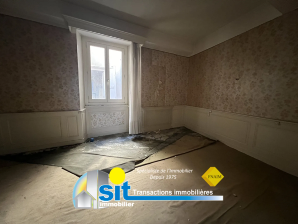 Grand appartement divisible à rénover à Vienne 