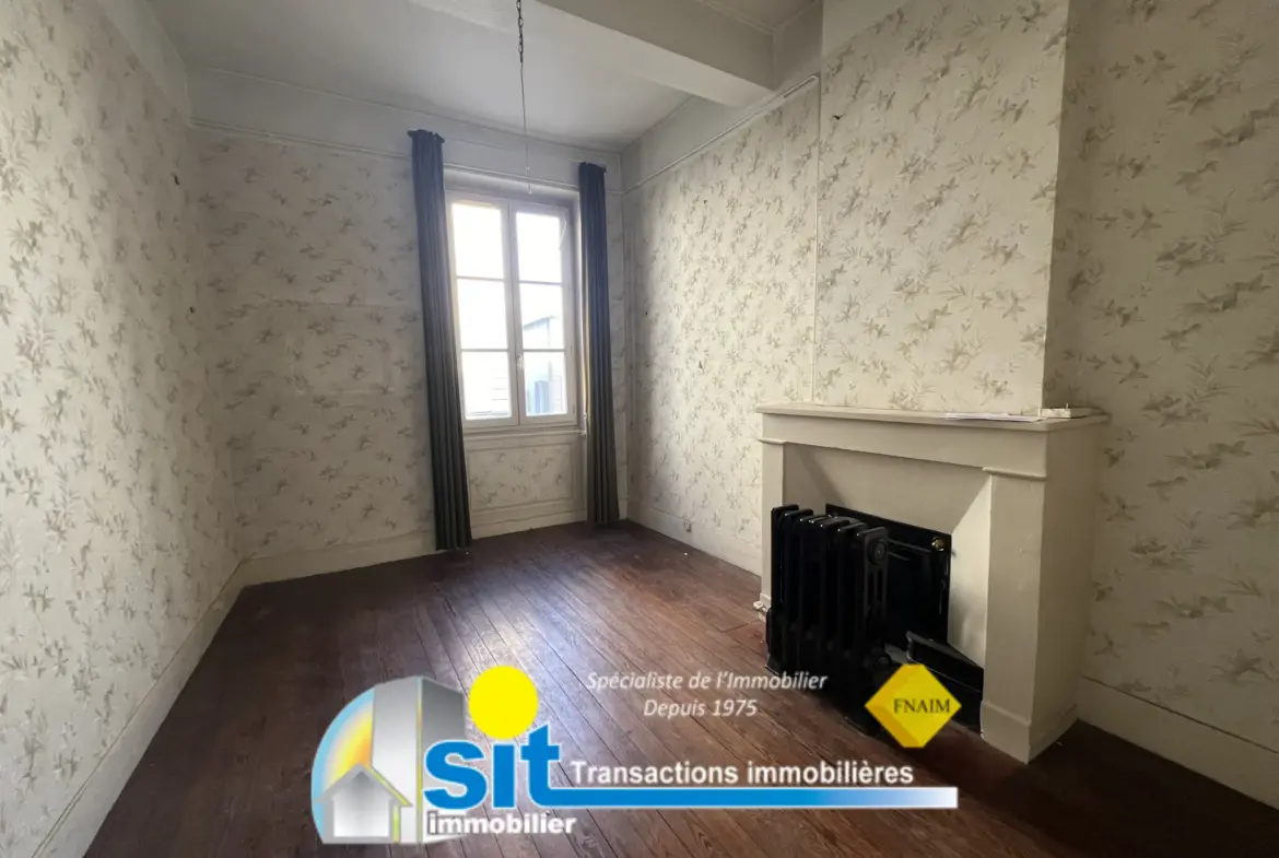 Grand appartement divisible à rénover à Vienne 