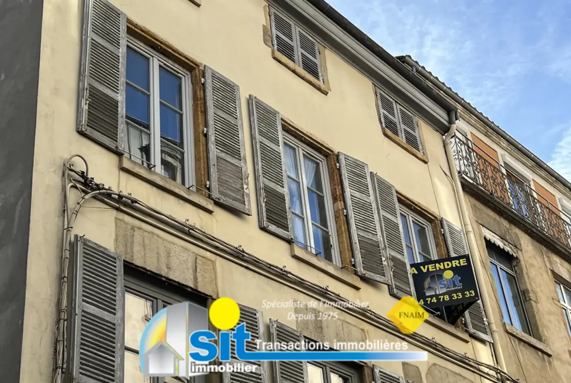 Grand appartement divisible à rénover à Vienne 