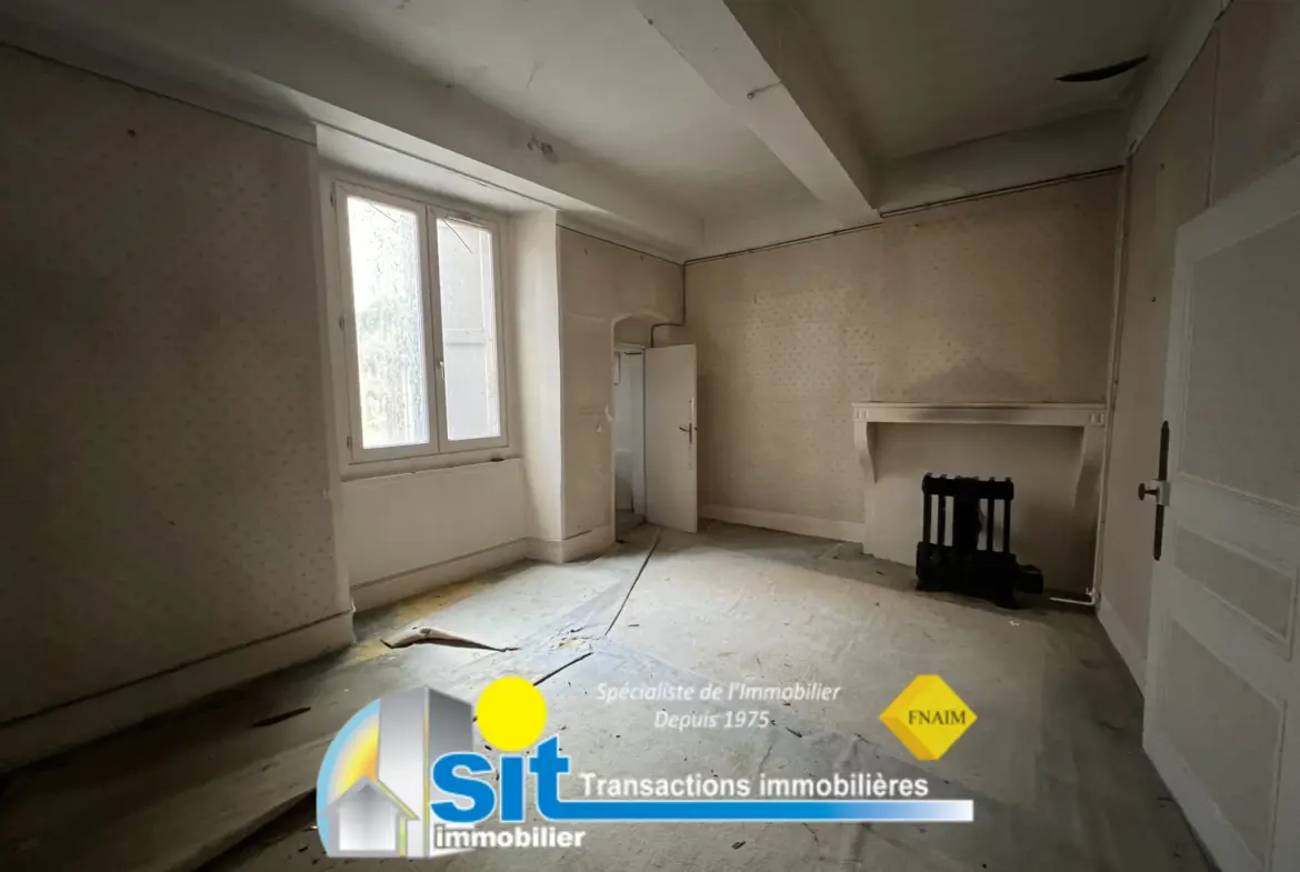 Grand appartement divisible à rénover à Vienne 