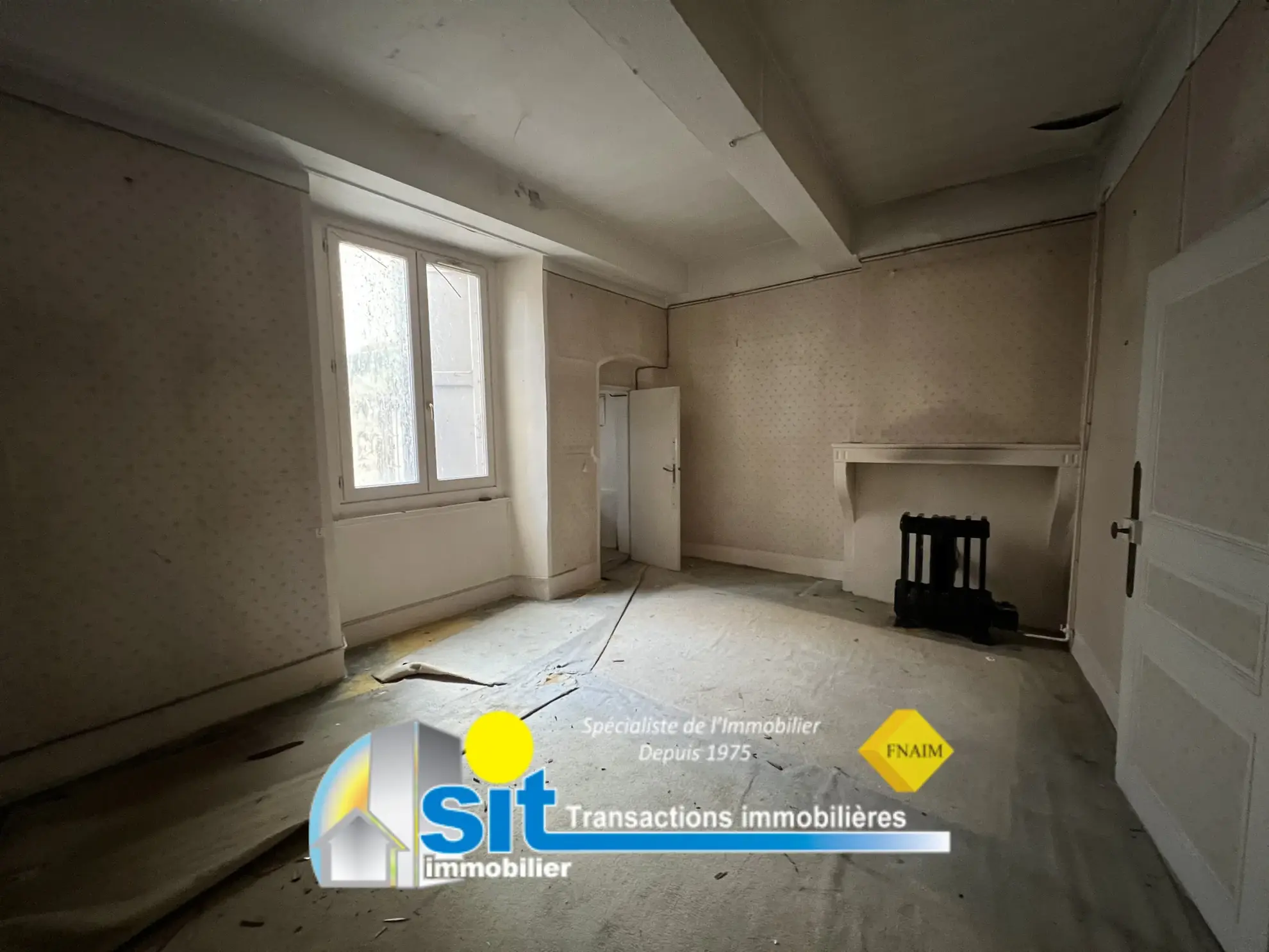 Grand appartement divisible à rénover à Vienne 