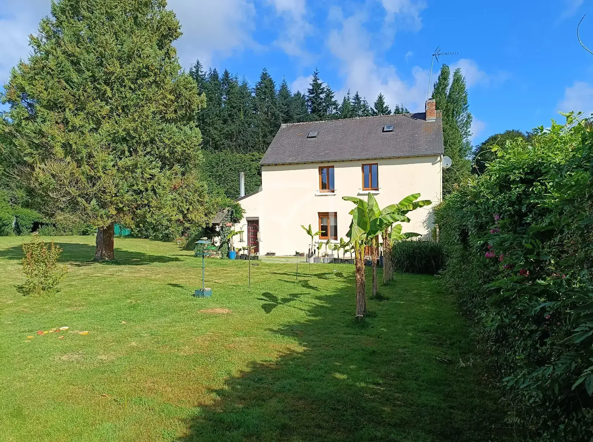 Maison 3 chambres sur grand terrain de 4765 m² à Illifaut 