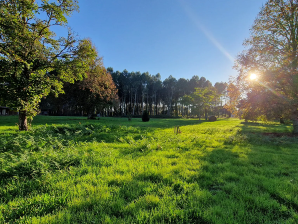 Terrain à bâtir de 1600 m² à Uzeste 