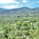 Terrain constructible à vendre à Laroque des Albères - 215 000 euros