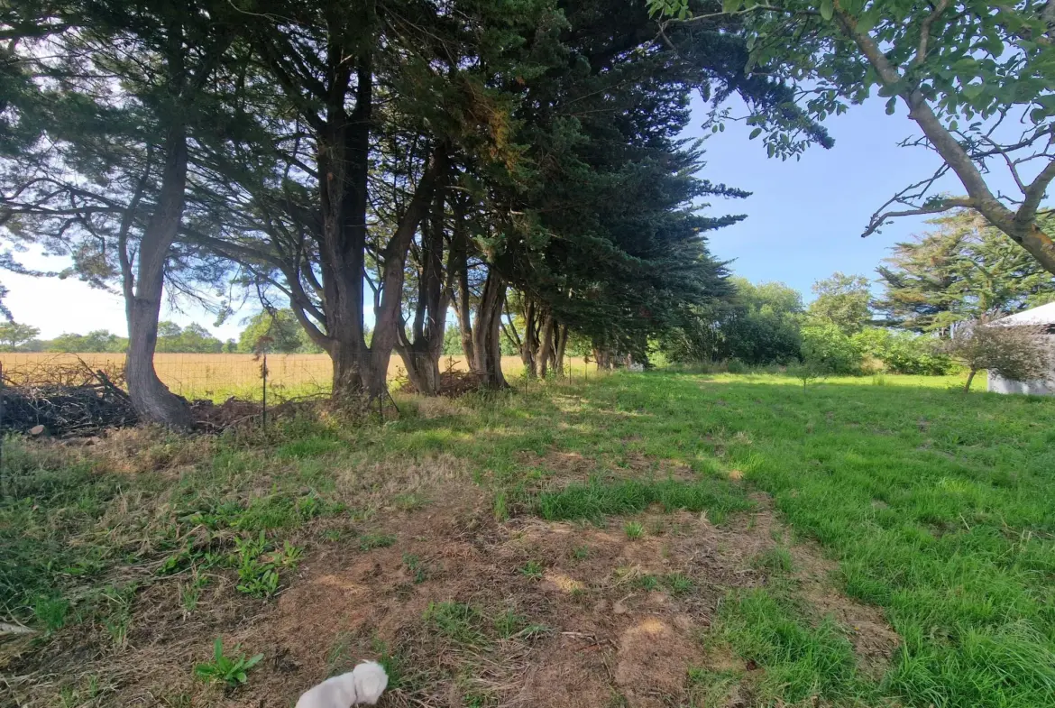 Propriété avec bâtiments sur 1 hectare à Chateauneuf 