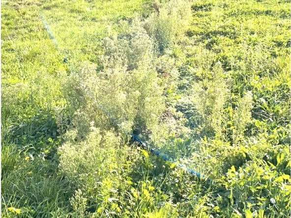 Terrain constructible de 1190 m2 à Bogy, Vallée du Rhône 