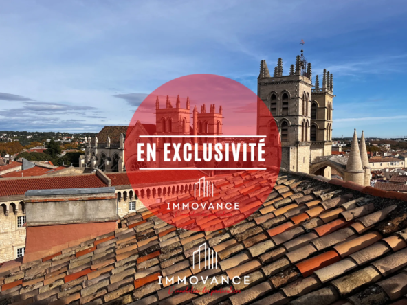 Charmant T3 atypique en triplex à Montpellier à vendre 