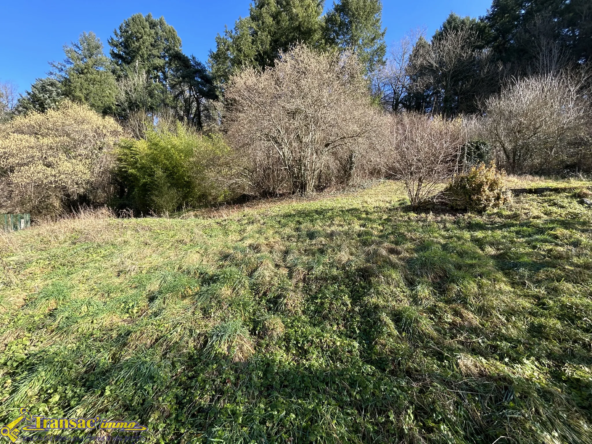 Maison 3 pièces à vendre à Châteldon - 50 m² avec grange et terrain 
