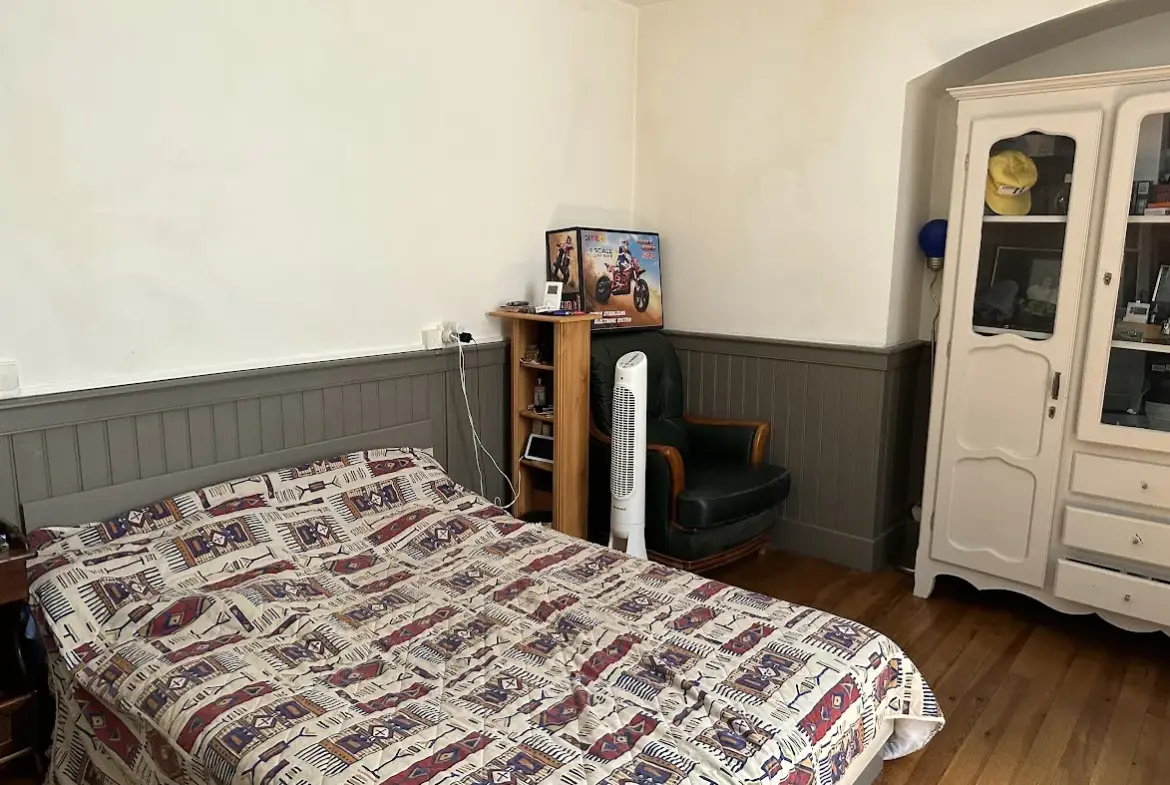 Belle maison en pierre avec patio en plein cœur de Fleurance 