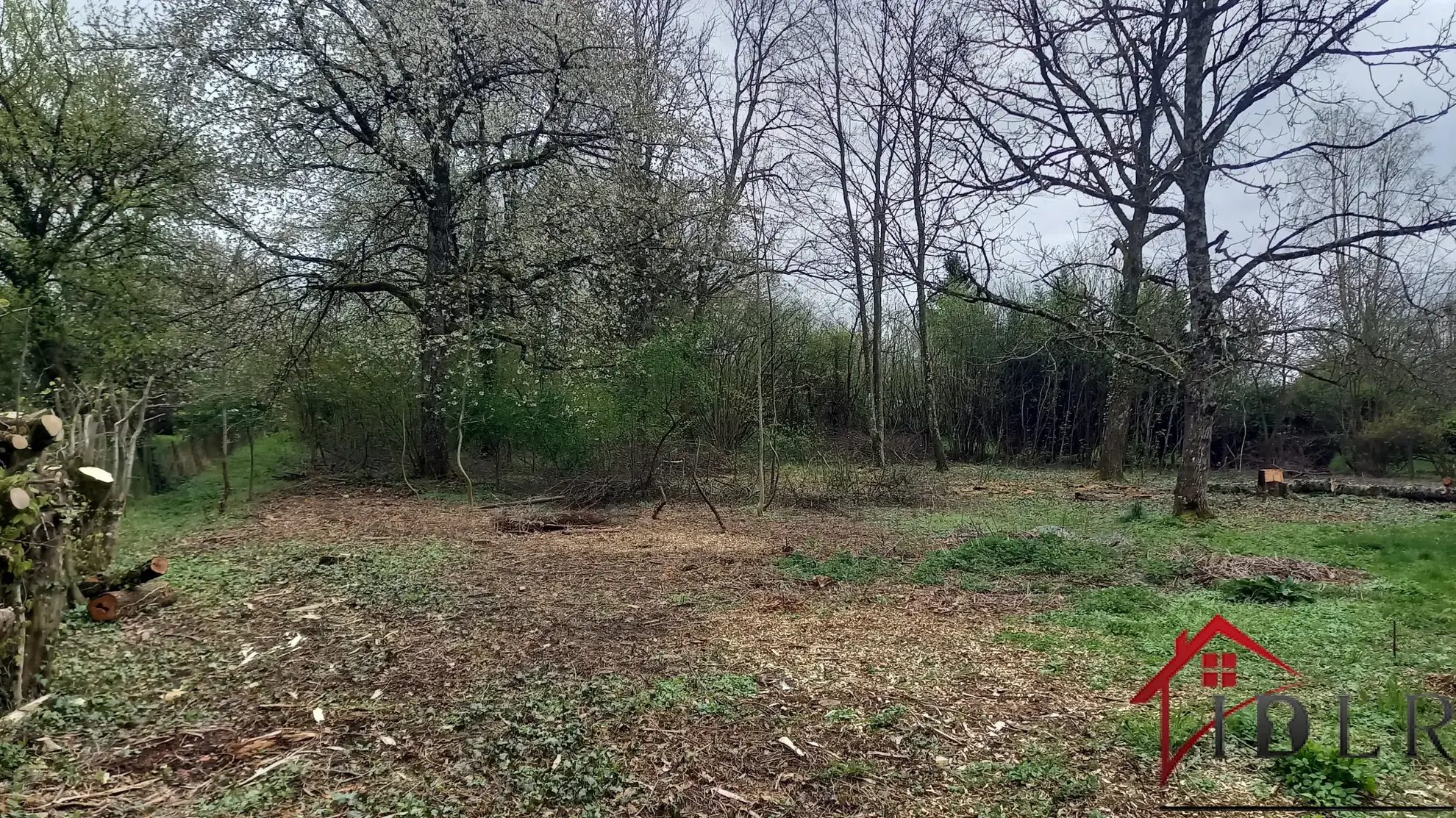 Terrain à bâtir de 22 ares à Saint Germain les Arlay 