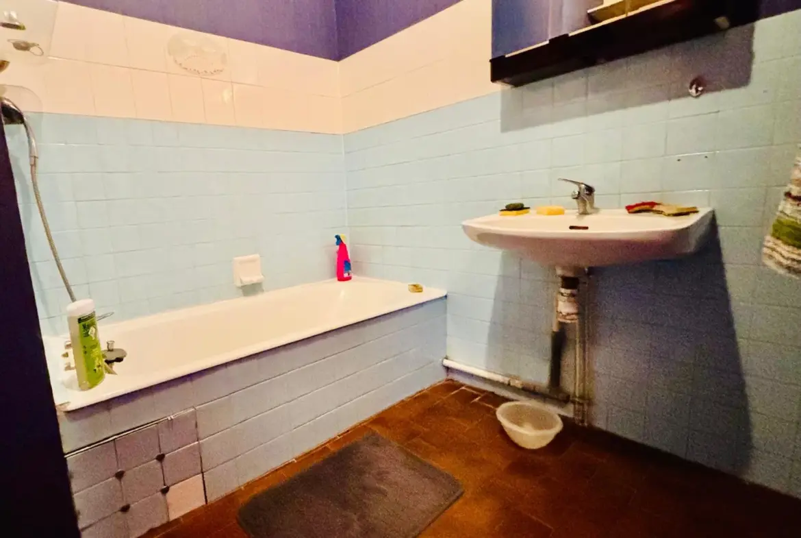 Appartement T4 80 m² avec balcon à rénover à Grenoble 