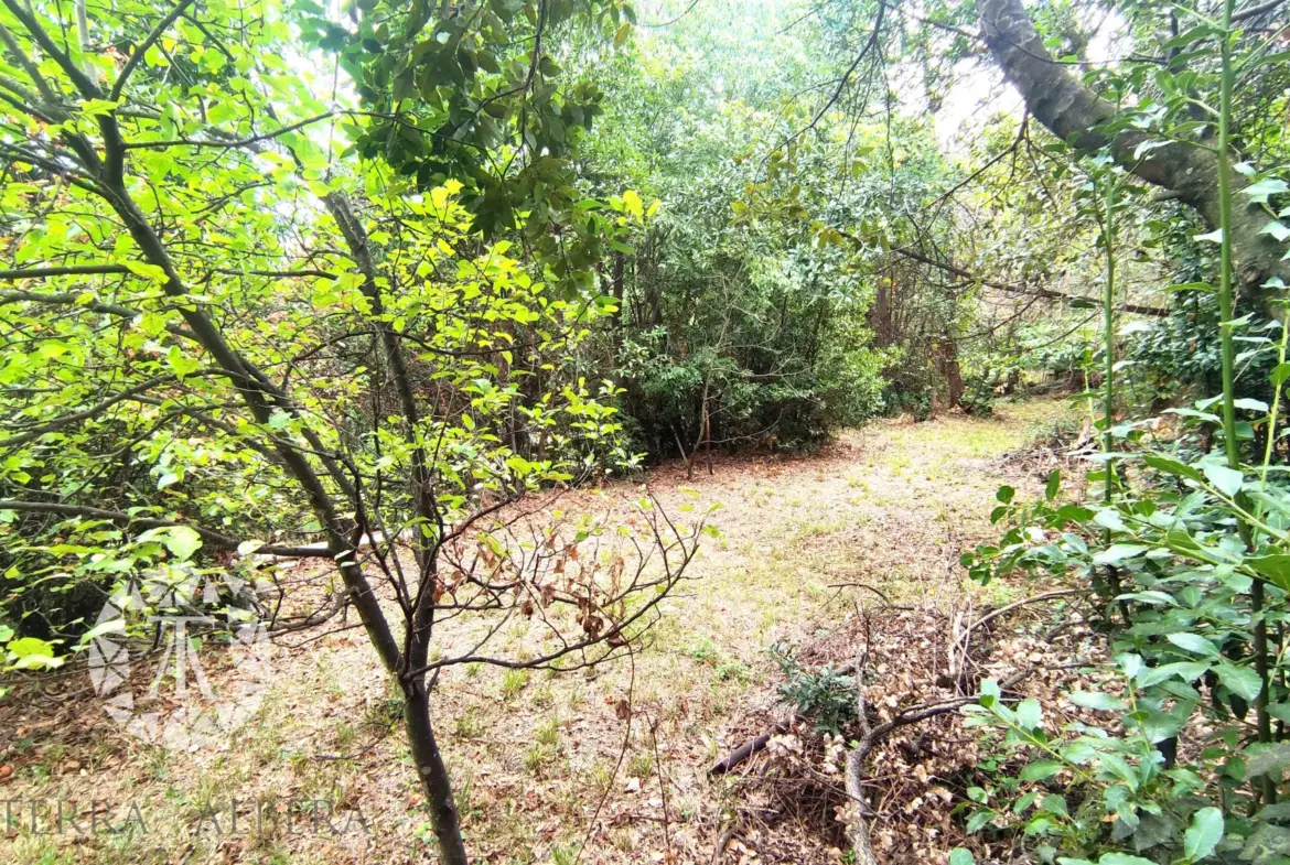 Terrain non constructible à vendre à Laroque des Albères - 1148 m² 