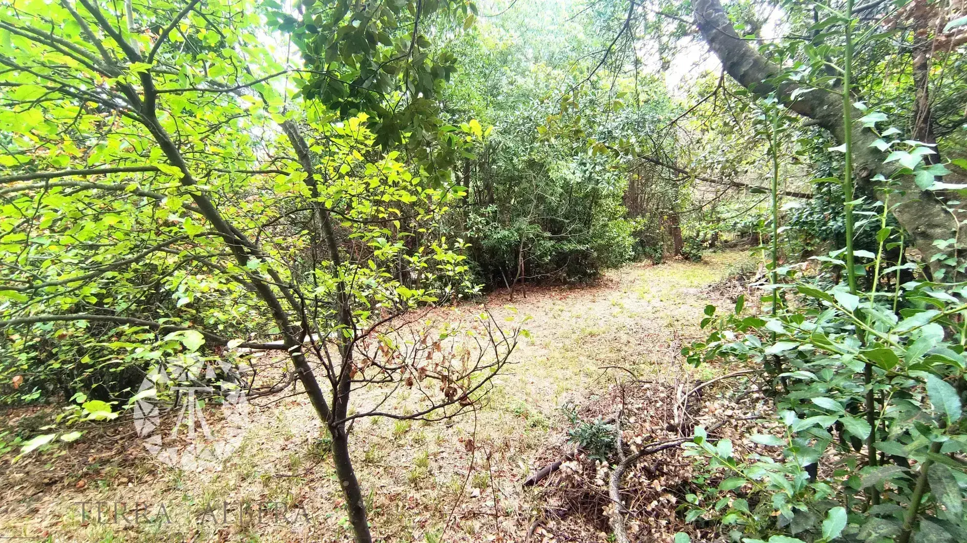 Terrain non constructible à vendre à Laroque des Albères - 1148 m² 