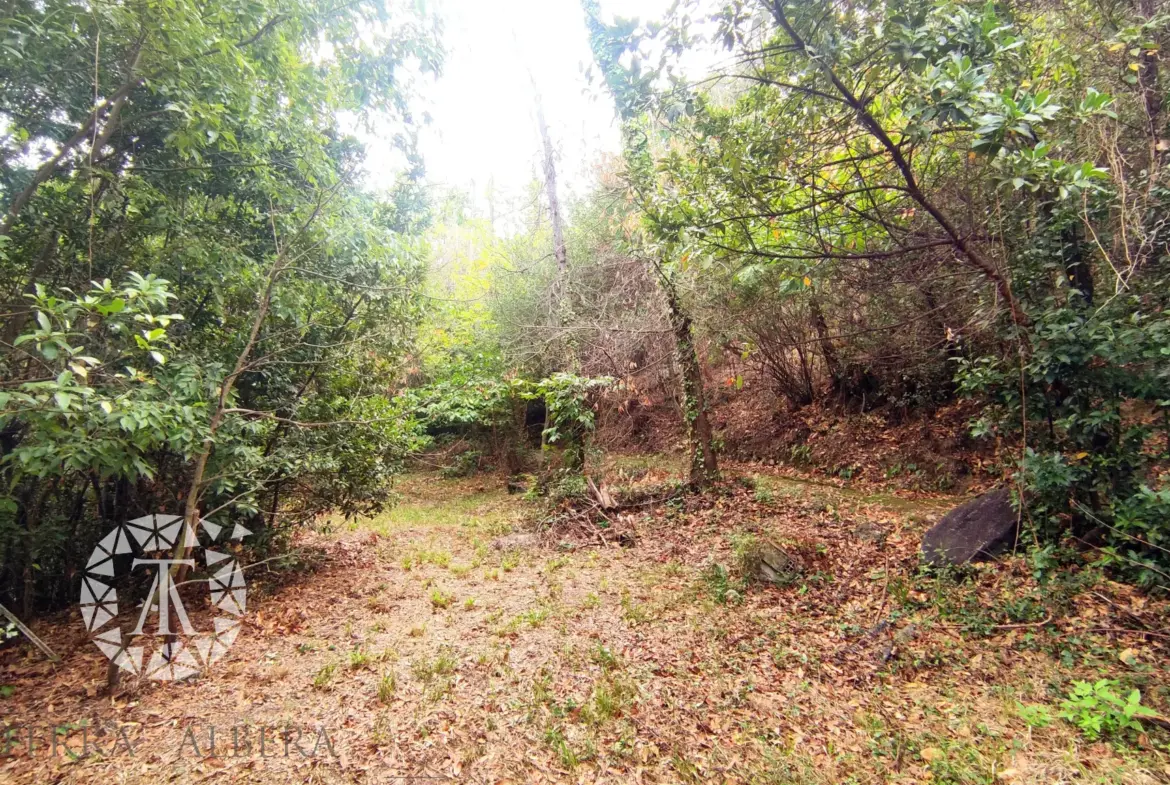 Terrain non constructible à vendre à Laroque des Albères - 1148 m² 