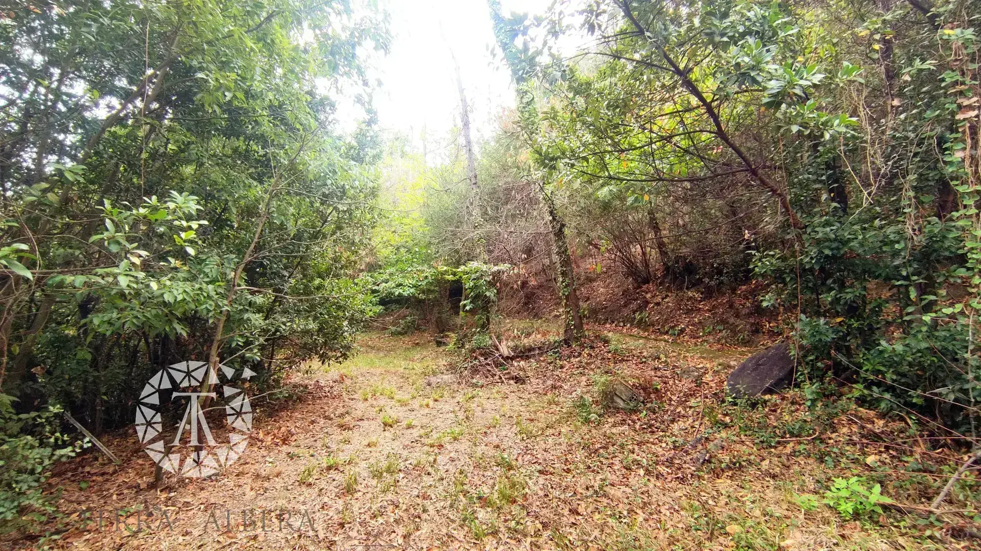 Terrain non constructible à vendre à Laroque des Albères - 1148 m² 