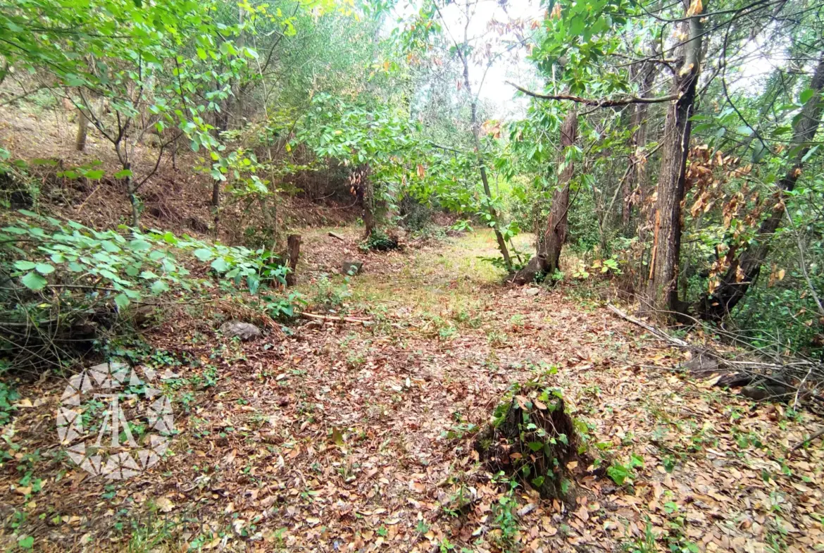 Terrain non constructible à vendre à Laroque des Albères - 1148 m² 