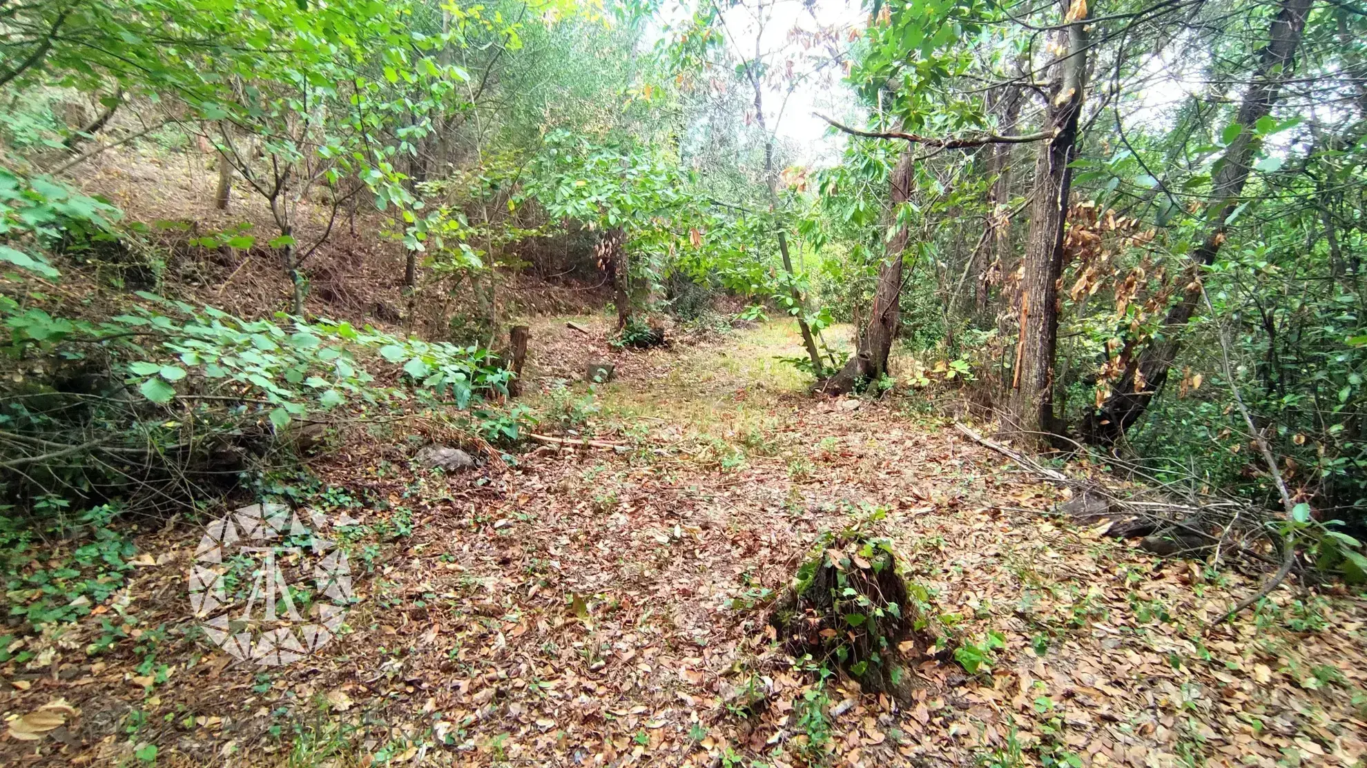 Terrain non constructible à vendre à Laroque des Albères - 1148 m² 