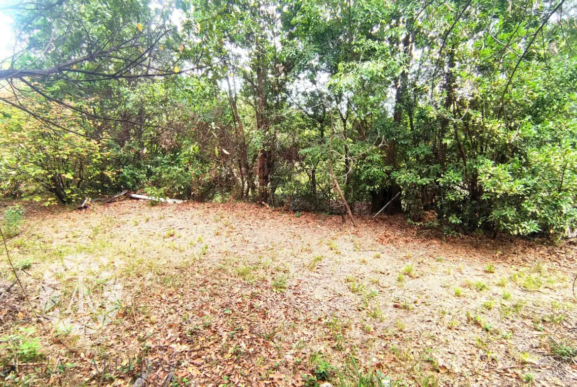 Terrain non constructible à vendre à Laroque des Albères - 1148 m² 