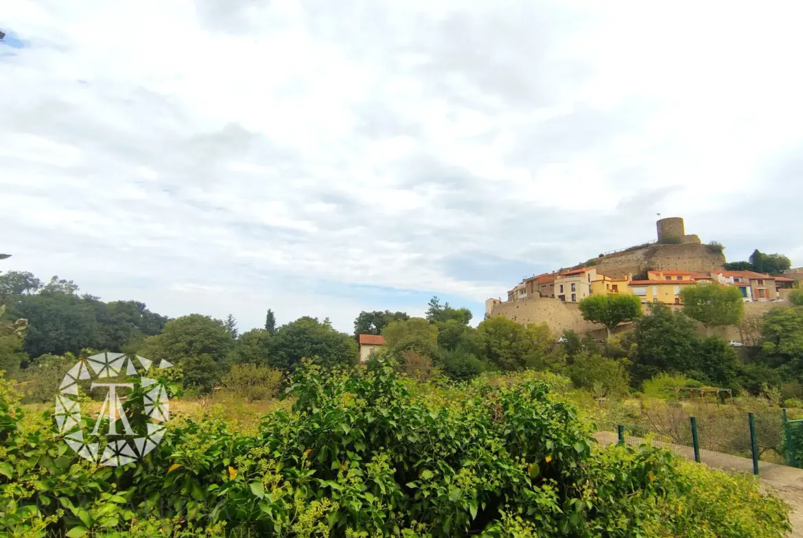 Terrain non constructible à vendre à Laroque des Albères - 1148 m² 