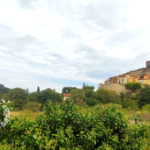 Terrain non constructible à vendre à Laroque des Albères - 1148 m²