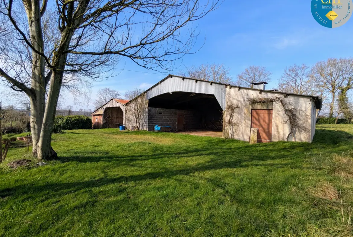 Vente d'une belle longère en pierres à Maxent 