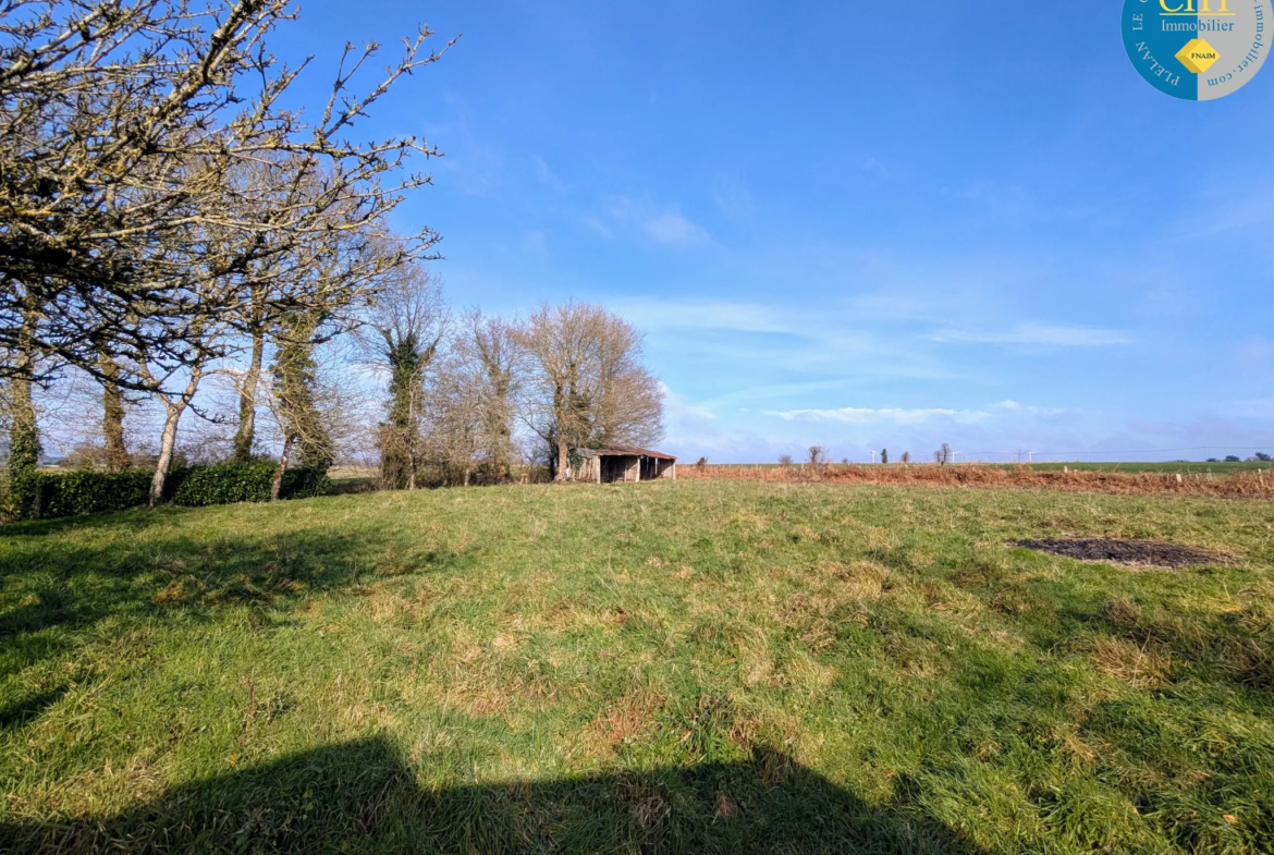 Vente d'une belle longère en pierres à Maxent 