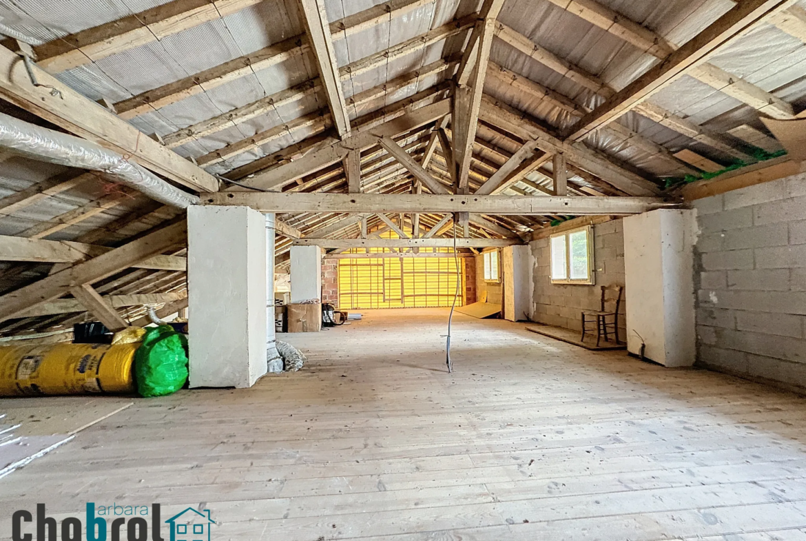 Charmante maison avec appartement à Labourgade 