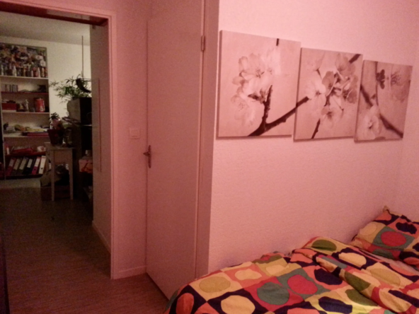 Appartement T1bis de 25 m² à Montaudran - Vendu Loué 