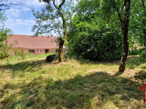 Maison meublée de 1858 à vendre en Haute-Marne 