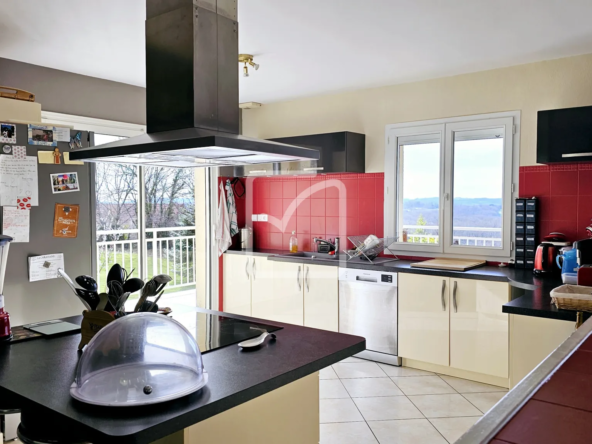 Maison exceptionnelle à Juillac avec vue dégagée 