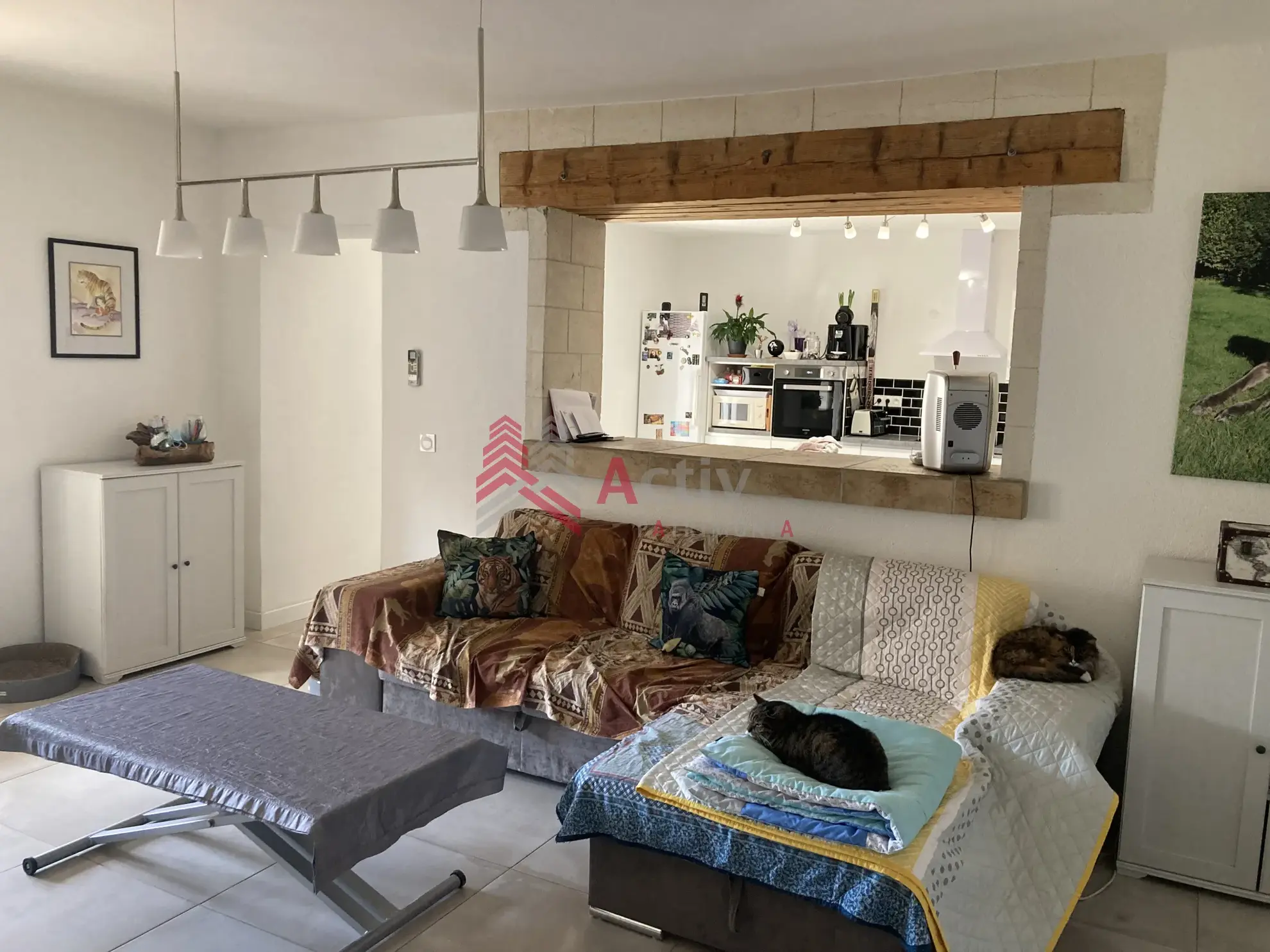 Arles : Maison F4 avec Terrasse et Jardin à 250 000 € 