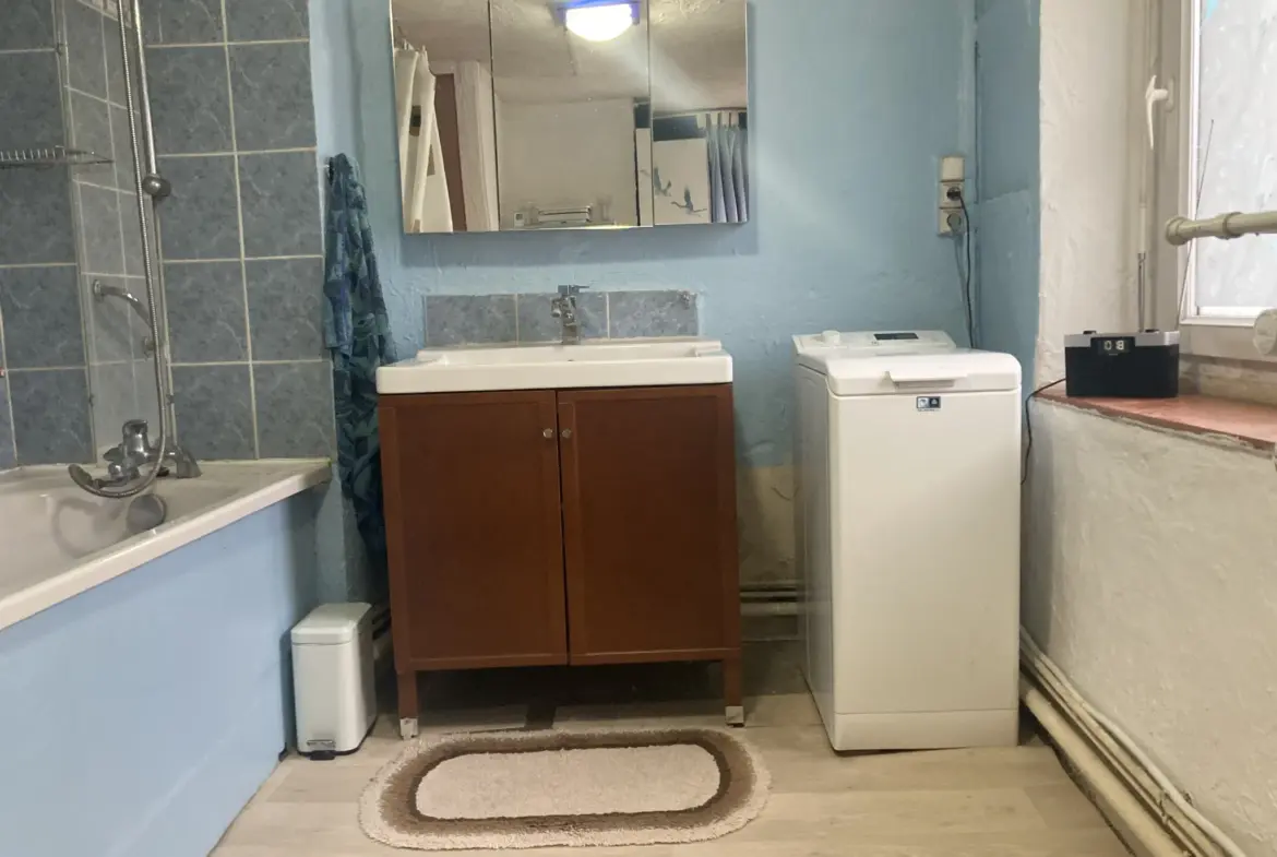 Vente maison de ville à Tenay - 118 m² sur 5 niveaux avec garage et jardin 