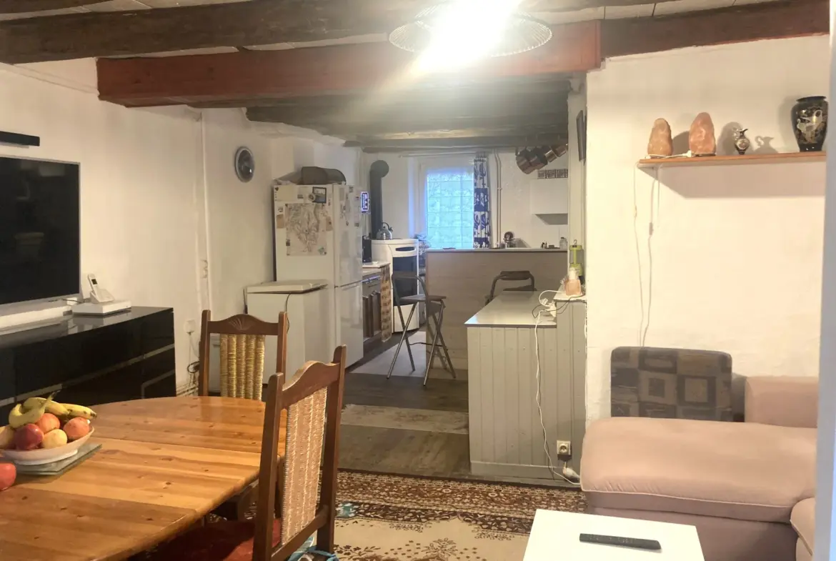Vente maison de ville à Tenay - 118 m² sur 5 niveaux avec garage et jardin 