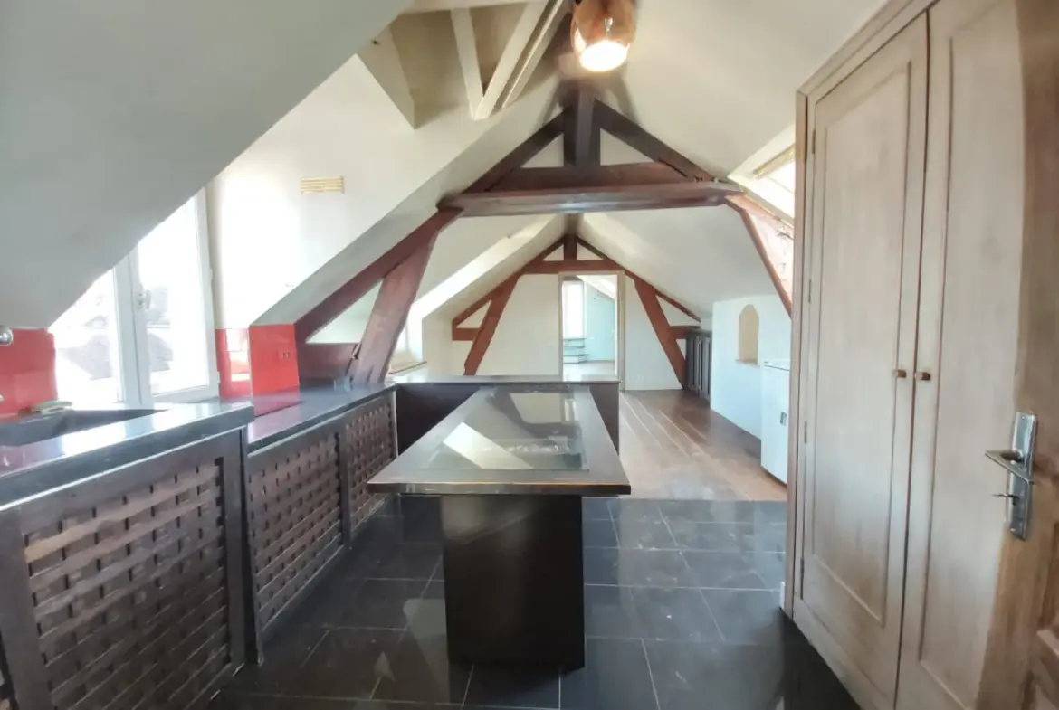 Appartement d'Investissement de Caractère à Melun - 48 m² 