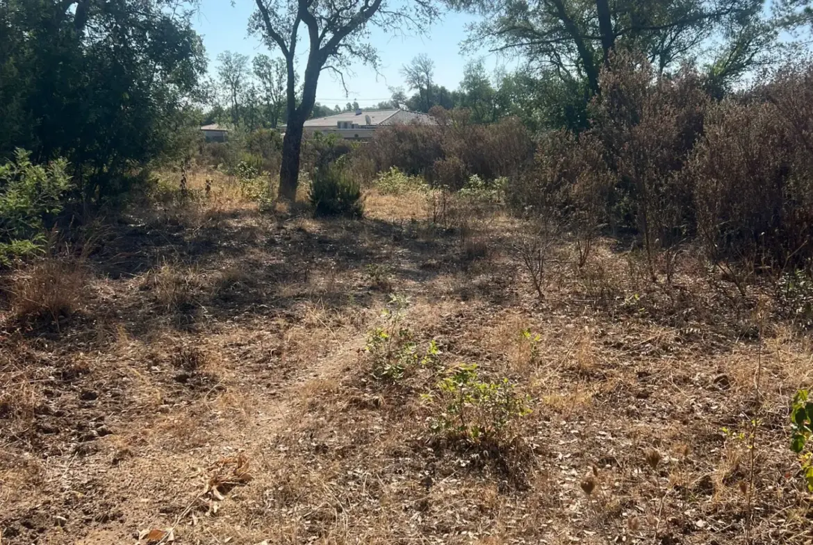 Trois Parcelles Constructibles à Vendre à Morta - 1100 m² 
