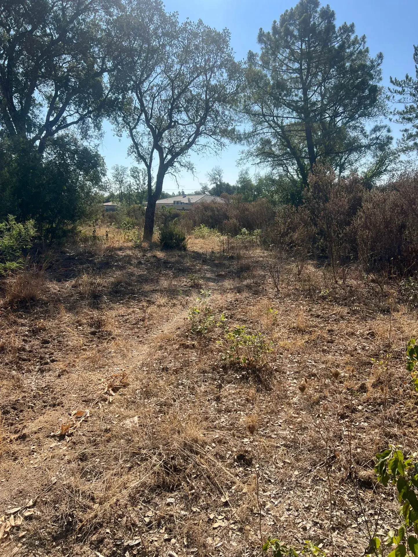 Trois Parcelles Constructibles à Vendre à Morta - 1100 m² 