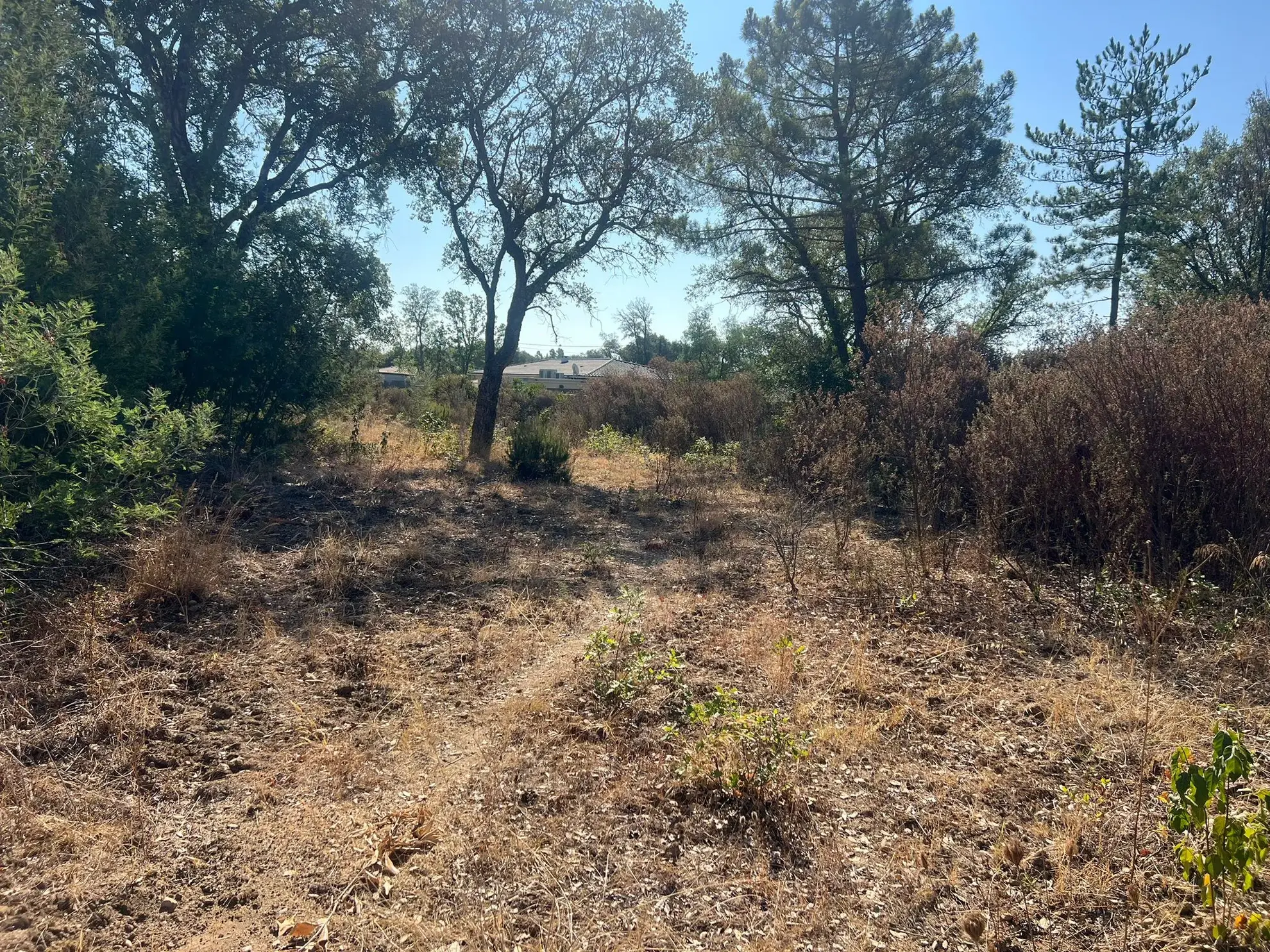 Trois Parcelles Constructibles à Vendre à Morta - 1100 m² 