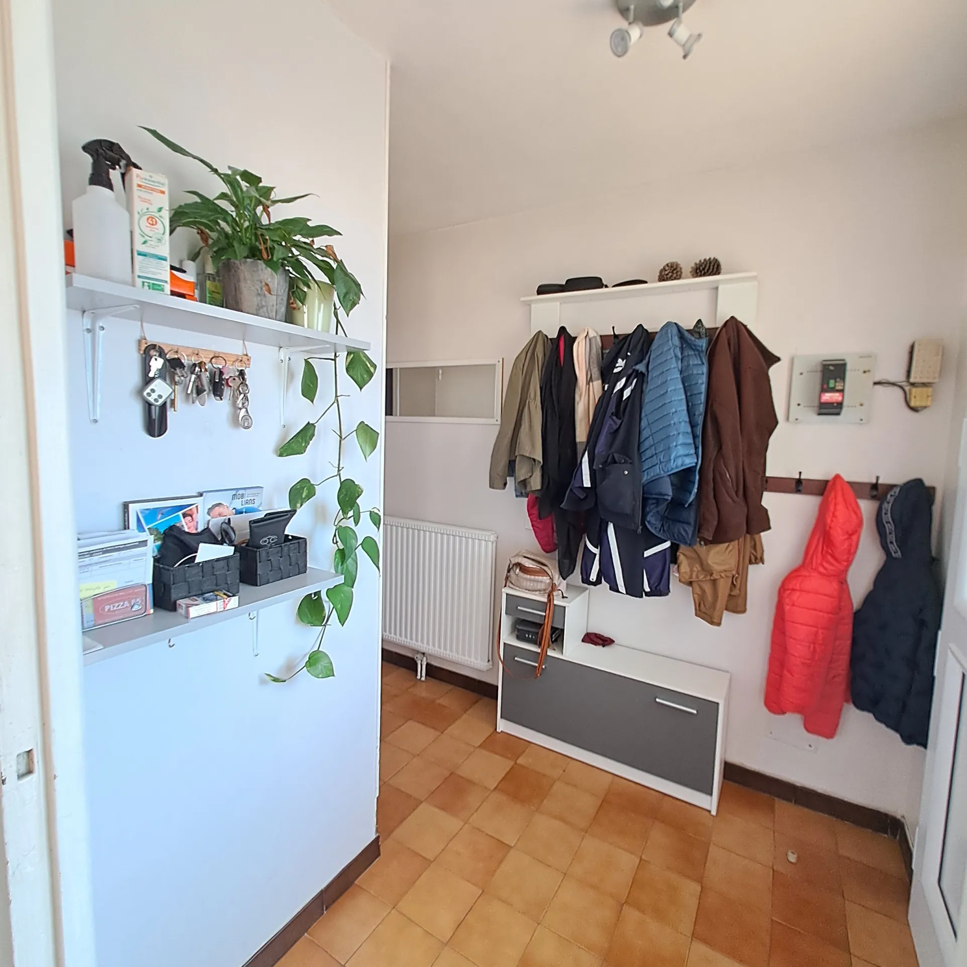 Maison familiale avec jardin à Odos 