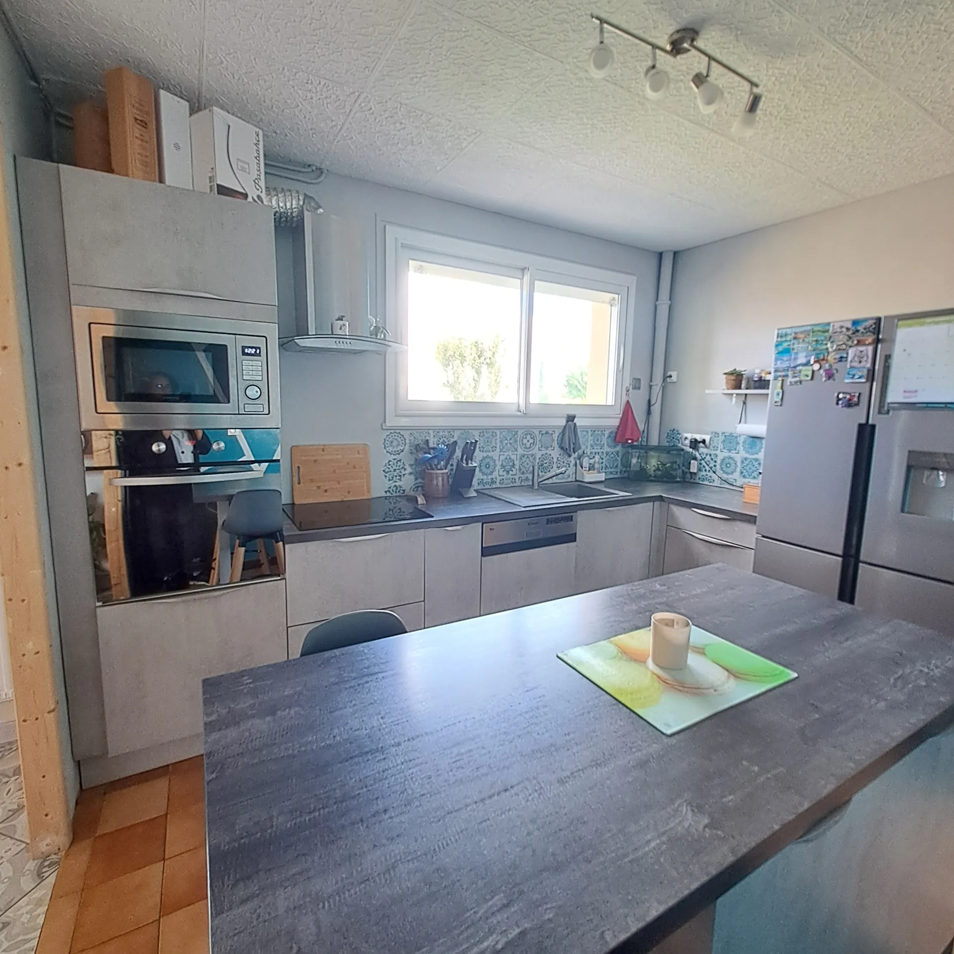 Maison familiale avec jardin à Odos 