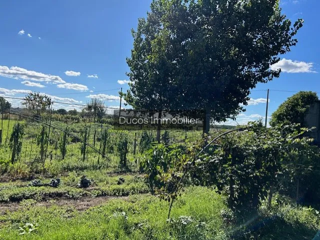 Propriété Agricole à Vendre près de Marmande - 4100 m² 