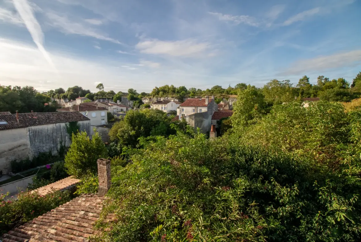 Maison de caractère à Saint-Savinien avec jardin de 800 m² 